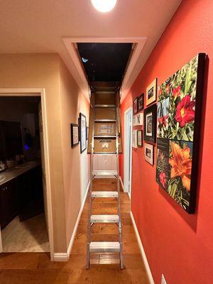 Attic Ladder