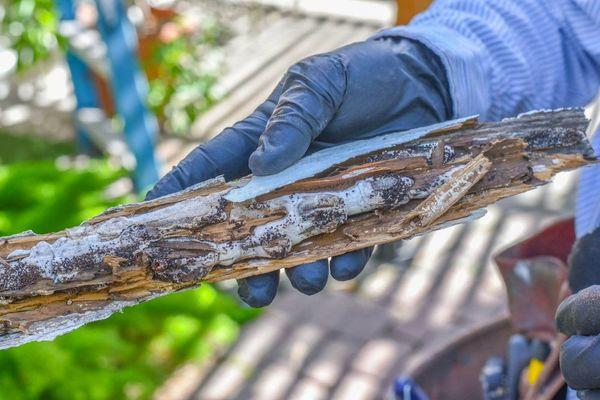 Wood pellets from termites found in a patio beam.