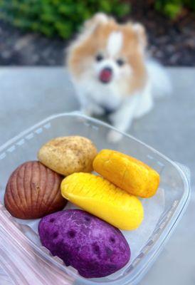 Korean Mochi Bread (clockwise): Kabocha, corn, sweet potato, chestnut, potato | Variety Box - $9