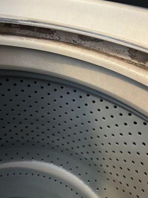 Washing Machine mold/mildew