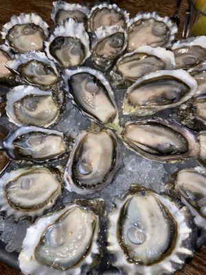 My family loves oysters so much to where they forgot which oyster was what haha. The oysters here are amazing and delicious!