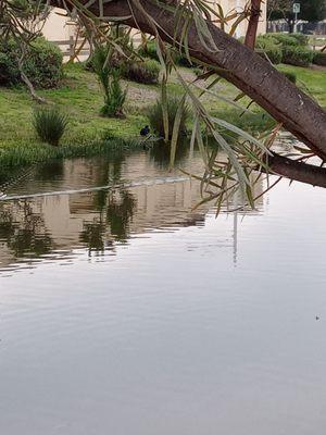 View from walking path.