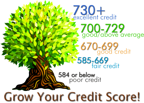 Grow your credit score and live the life you want.