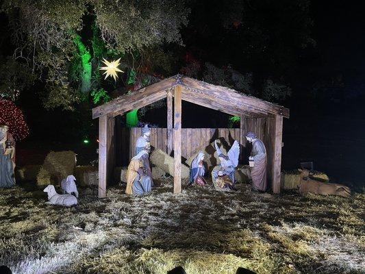 Nativity scene