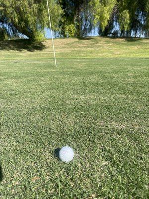 This was the putting green, looked like the fairway