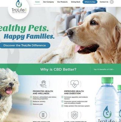 Website design for Pet Products Company