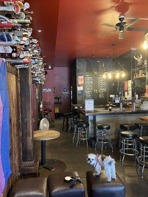 Taproom  - dog friendly!