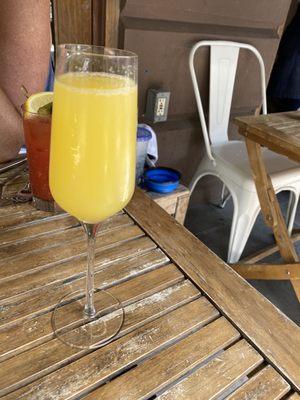 mimosa