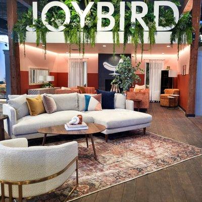 Joybird