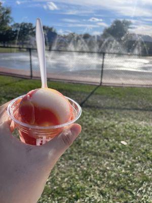 Mike's Italian Ice