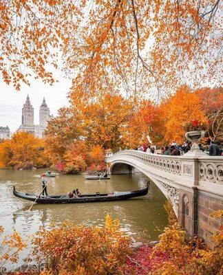 Central Park Very nice place for walking ‍