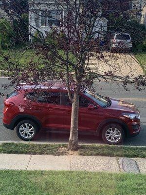 My 2021 Hyundai Tucson loaner from Ryan Shim of Millennium Hyundai. He helped me when no one at South Shore Hyundai could.