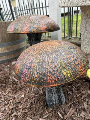 Large mushrooms