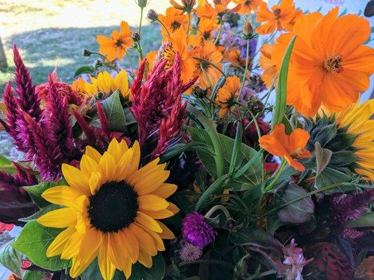 Pick-Your-Own flowers