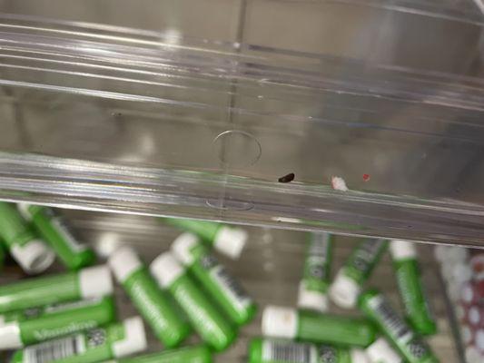 Closer view of mouse dropping on shelf by front cash register