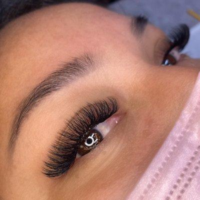 Volume Lashes