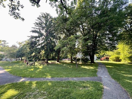 Verdant and wooded grounds