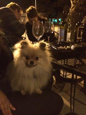 Minnie Lou loves the wine bar