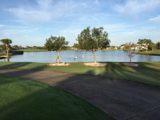 View from the clubhouse at the starters location.