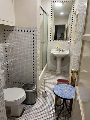 Old guest bathroom