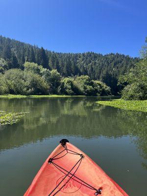 The river is lovely summer of 2023