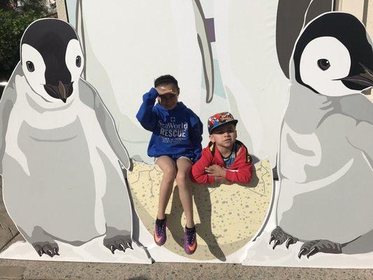 My little penguins