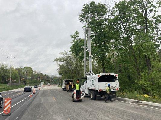 Hazardous tree removal over 202