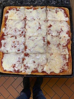 Plain Sicilian pizza