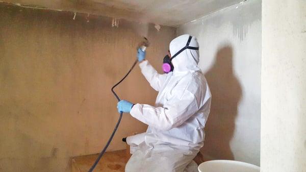 Mold Remediation Atlanta