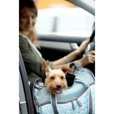 ARGO Petagon Medium Blue Airline Approved Pet Carrier