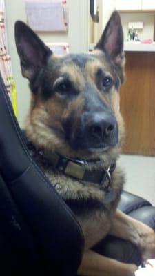 "Jude" in his favorite seat in the hospital.