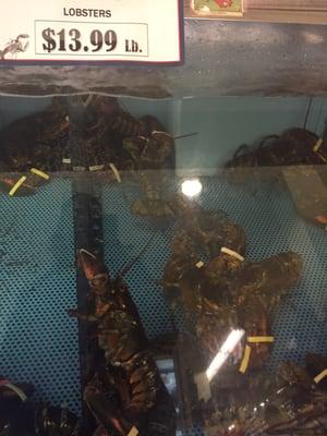 Lobster sale!