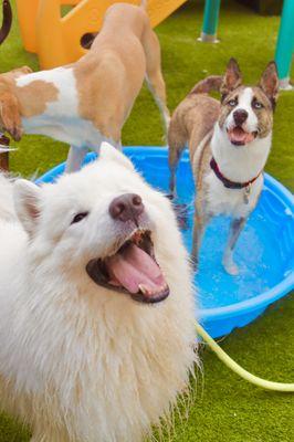 All smiles during play at playcare!