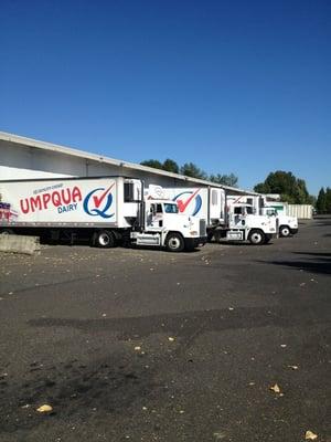 Umpqua Dairy