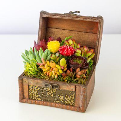 Succulent arrangement in a wooden treasure box, perfect as a creative and unique decor and gift! Offering delivery in LA and store pickup.