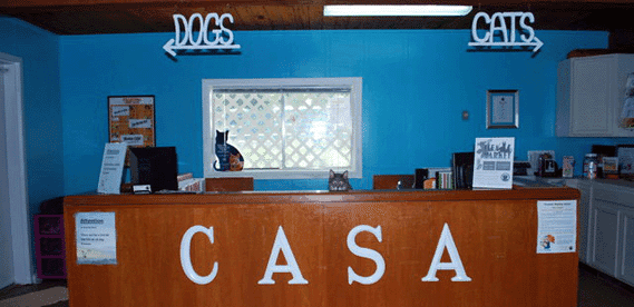 Camano Animal Shelter Association