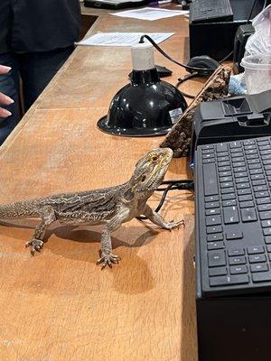 Godzilla interested in working