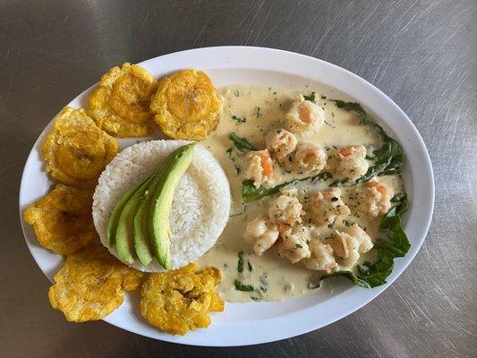 Camarones al ajillo / Garlic shrimp.