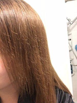 They damaged my hair! Breakage from root to tip