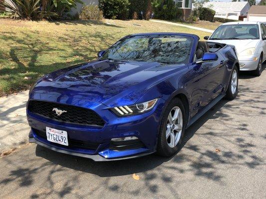 Mustang Convertible we rented for cheap