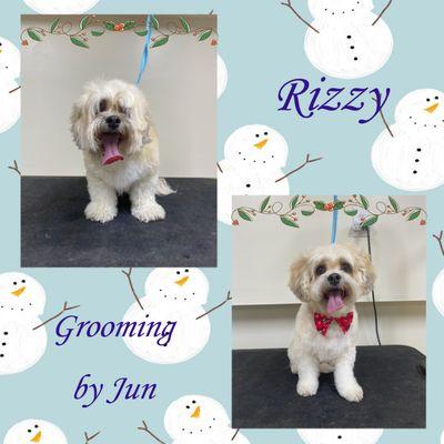 Rizzy groomed by Jun!