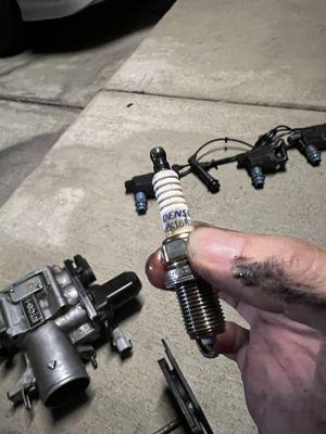 spark plugs coated in oil from unsealed gaskets