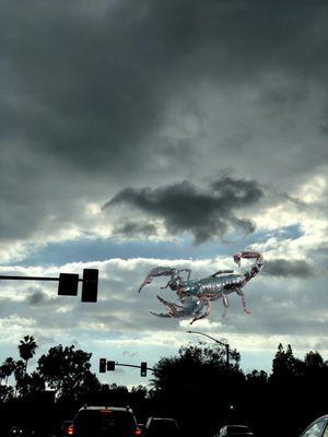 This cloud looked like a scorpion, it changed so fast but this is what I was able to capture.