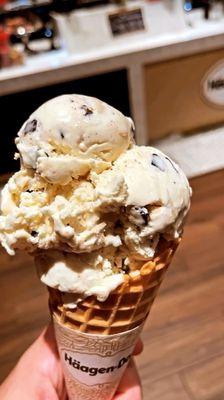 Vanilla Chocolate Chip Ice Cream