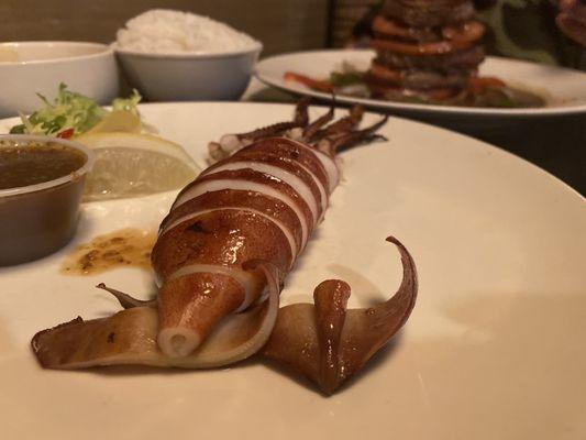 Bbq Squid, amazing