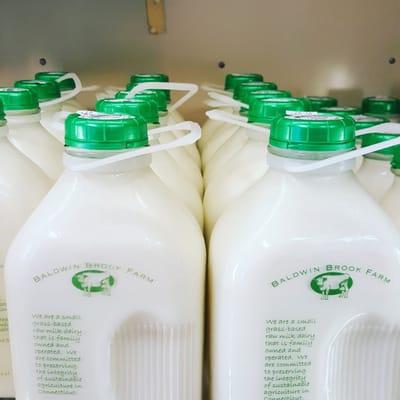 Fresh raw milk