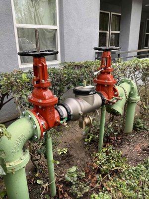 6" Backflow Replacement