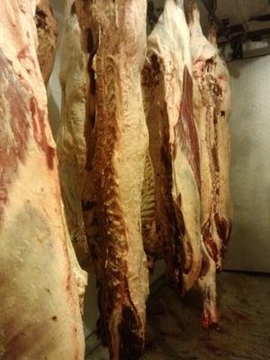 Beef aging to perfection