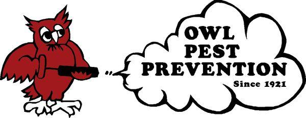 Owl Pest Prevention