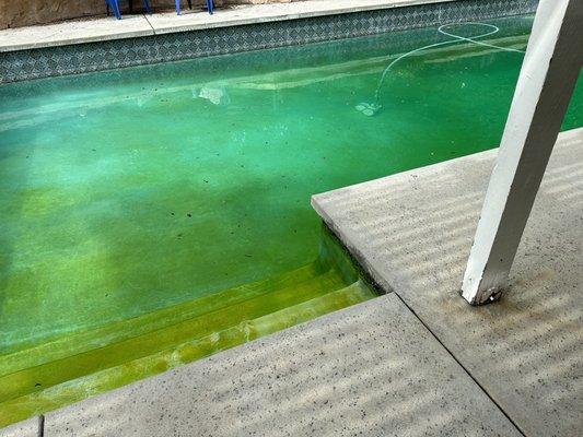 Green pool!